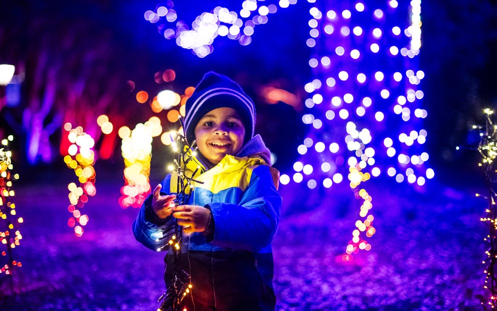 Dominion Energy GardenFest of Lights at Lewis Ginter Botanical Garden