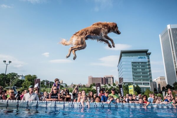 Dominion Energy Riverrock Returns to Brown’s Island, May 17-19 ...