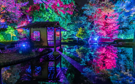 Maymont Garden Glow