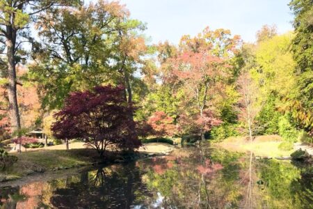 Maymont fall hike