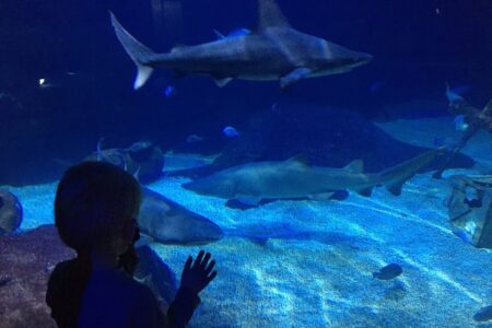 Aquarium at Virginia Beach