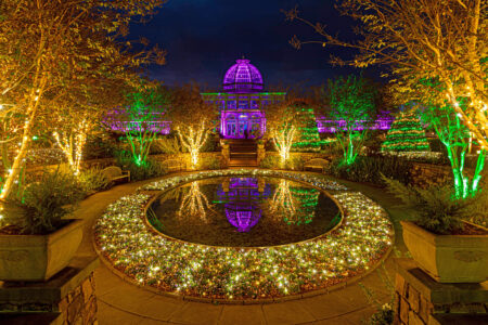 gardenfest of lighs