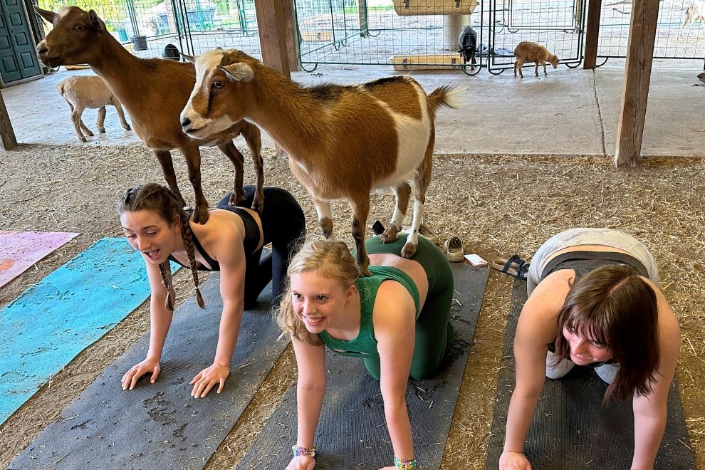 Pactamere Farms Goat Yoga RVA