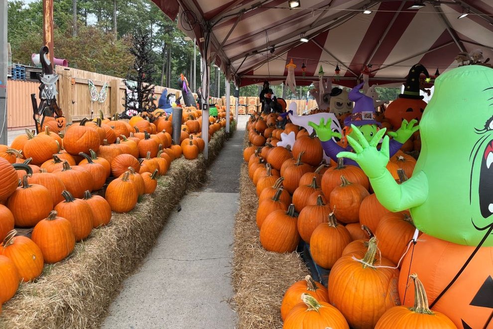 Tom Leonard's Pumpkin Patch