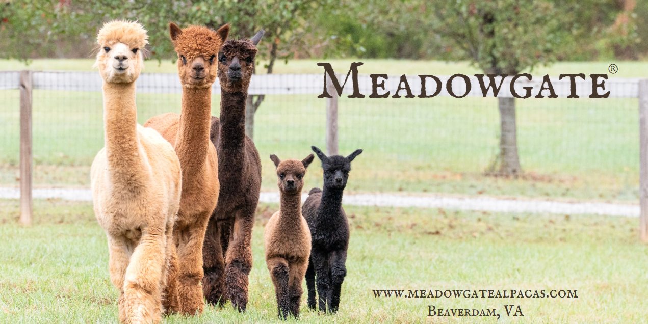 Meadowgate Alpacas