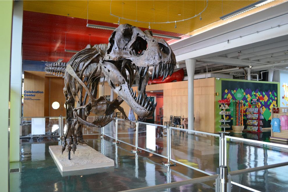 From Prehistoric Times to Playtime: Stan the T. Rex Roars Into a New Home at the Children’s Museum of Richmond Children’s Museum of Richmond Stan T-Rex Dinosaur
