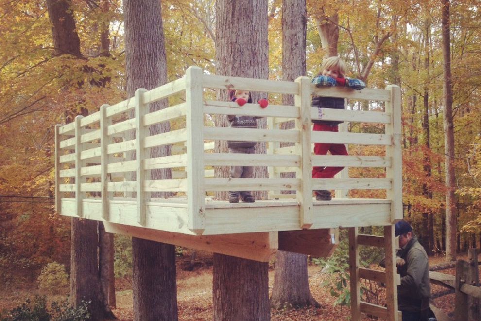 Living Roots John Morgan Dad Zone RFM