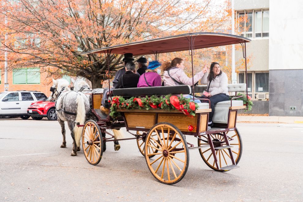 Winter Wander - horse-drawn carriage ride