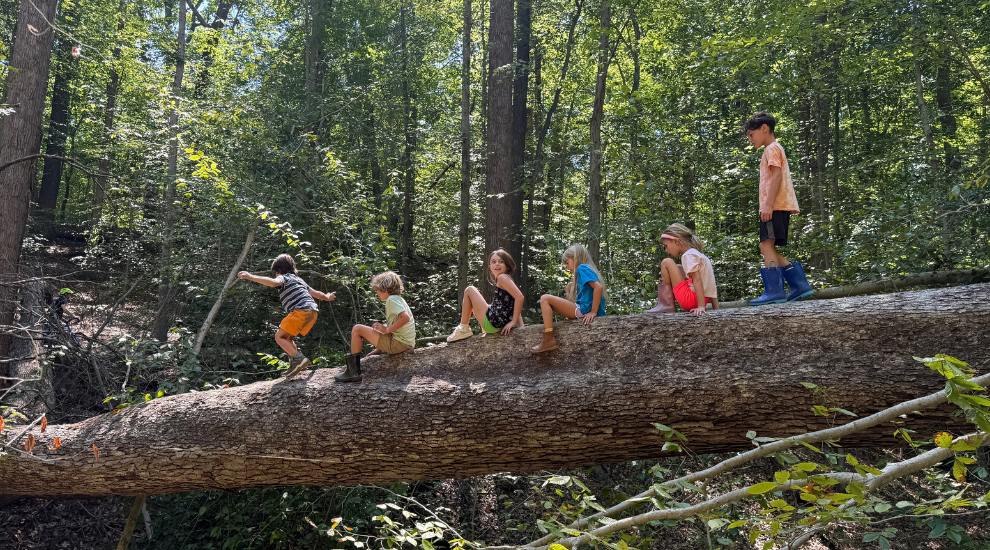 A Sabot Summer is Back and Better Than Ever! A Sabot Summer - Richmond VA Summer Camp