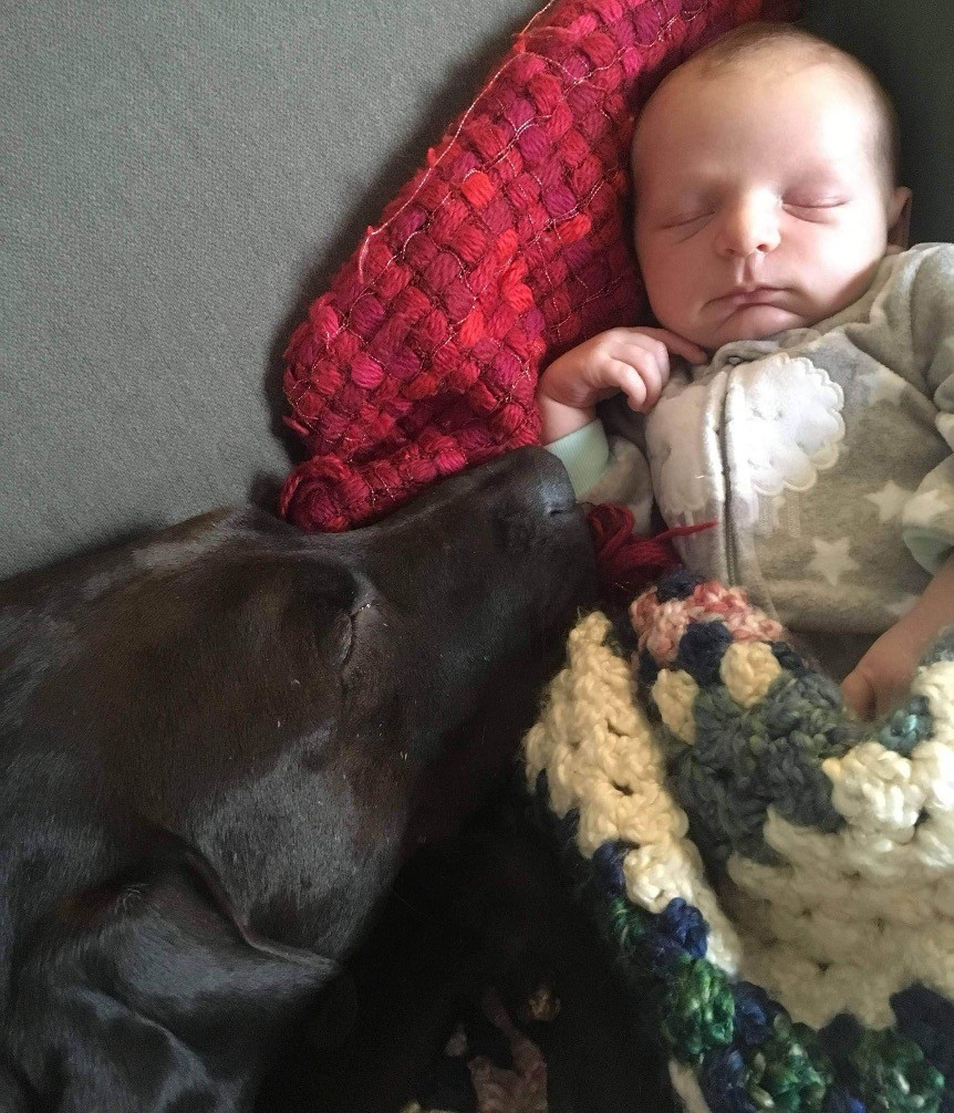 JanFeb 2026 Dad Zone Nick Bacon