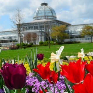 Lewis Ginter Botanical Garden