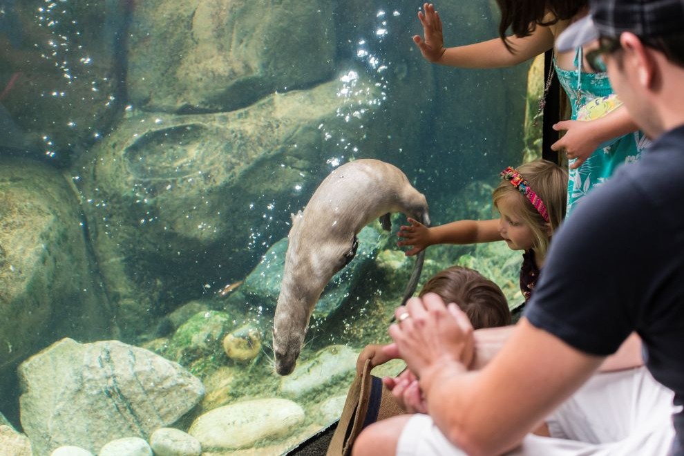 Maymont Lora Robins Nature Center PC Kevin Kelley