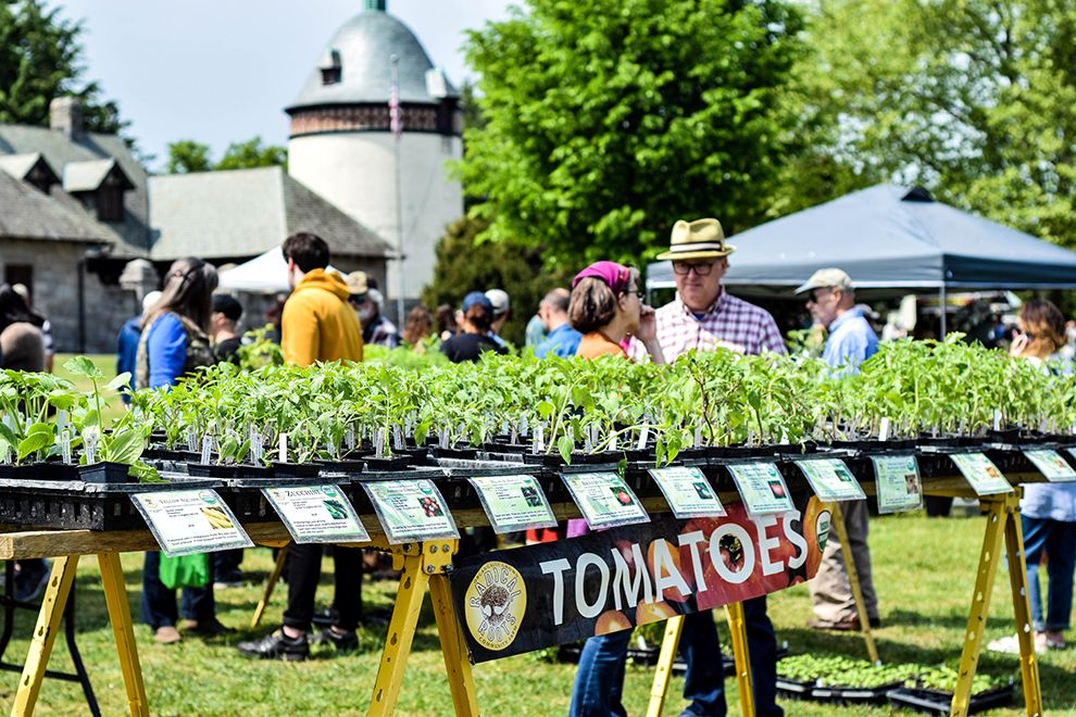 Maymont Richmond Virginia Herbs Galore