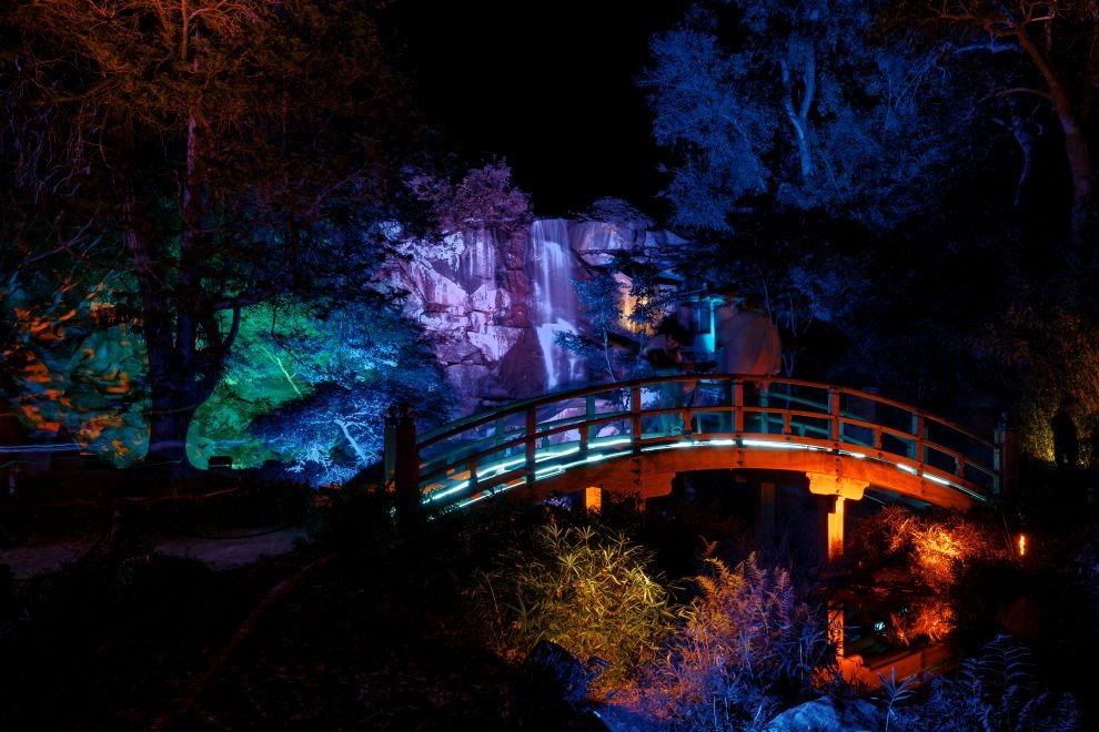 Maymont Garden Glow