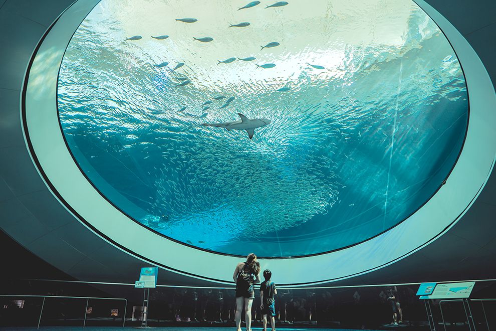 aquarium in Miami, Florida