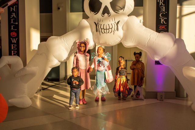 Virginia Museum of History & Culture