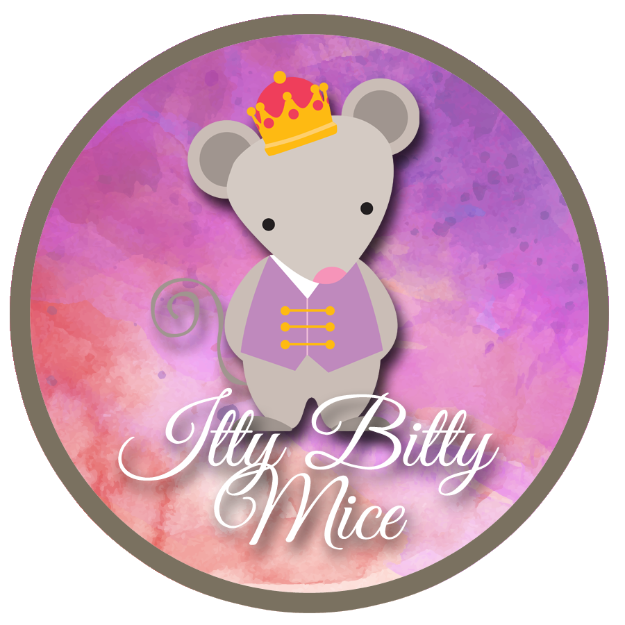 Winter Break One-Day Camp – Itty Bitty Mouse at Bella Ballerina Chesterfield