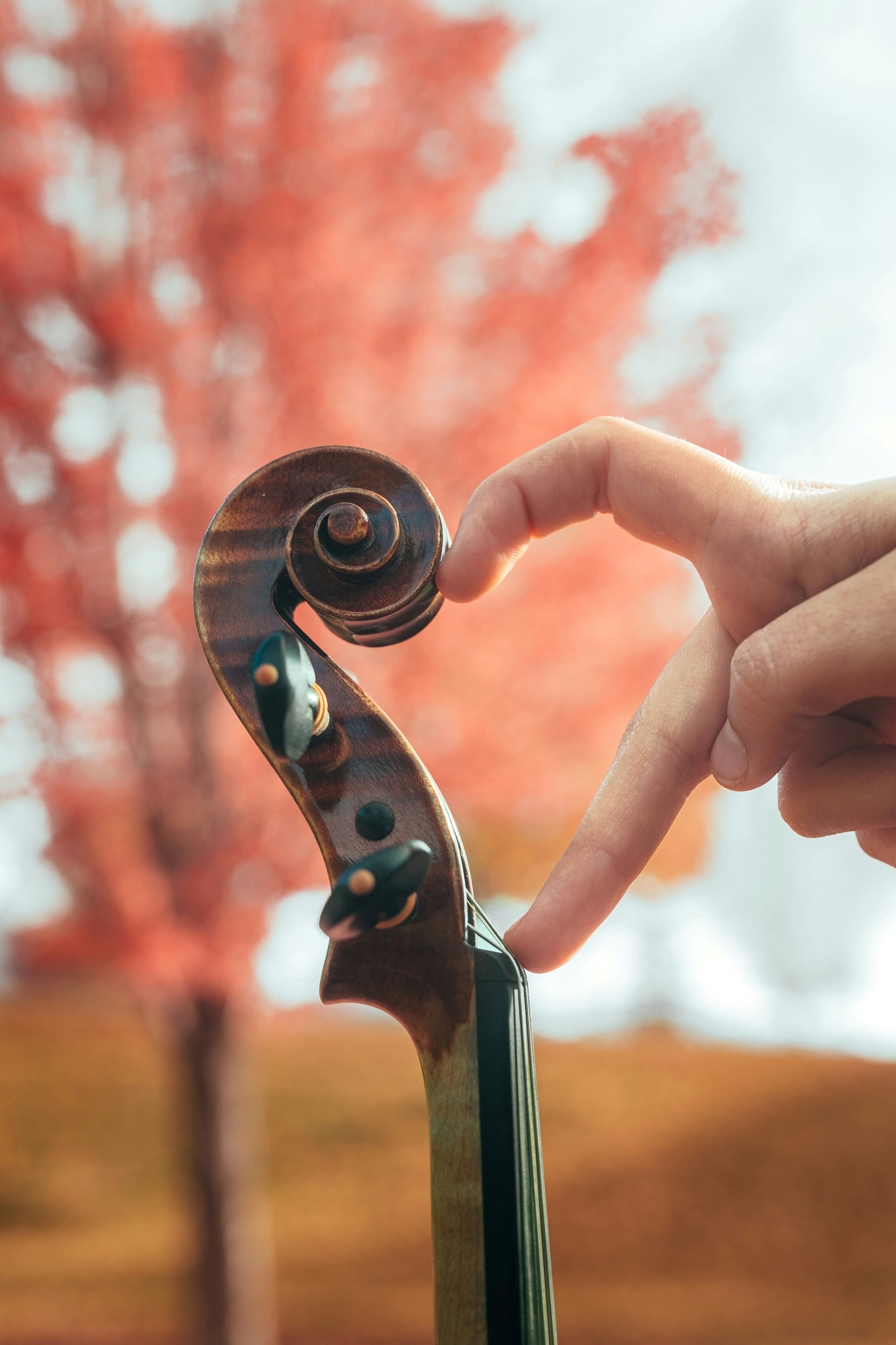 Valentine’s Music Bingo