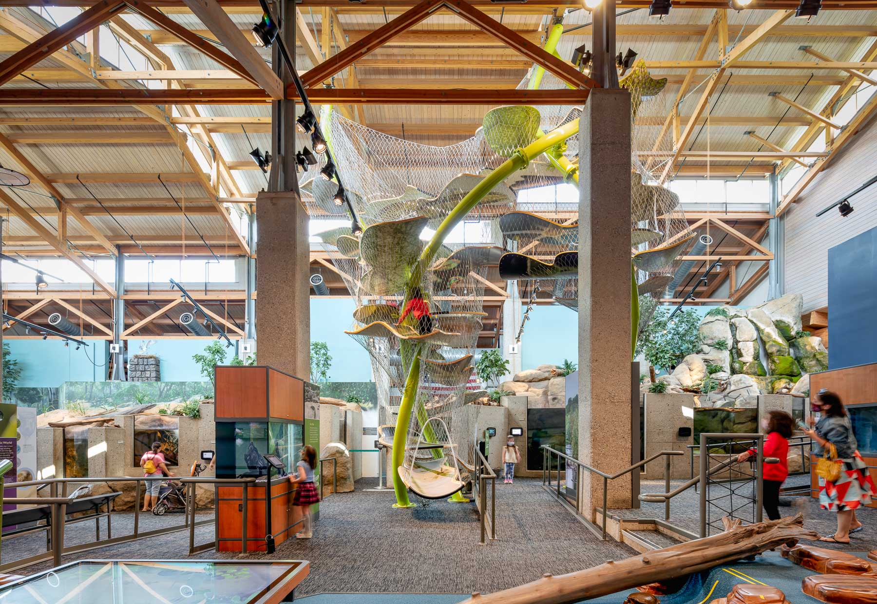 Out of School Day Camp