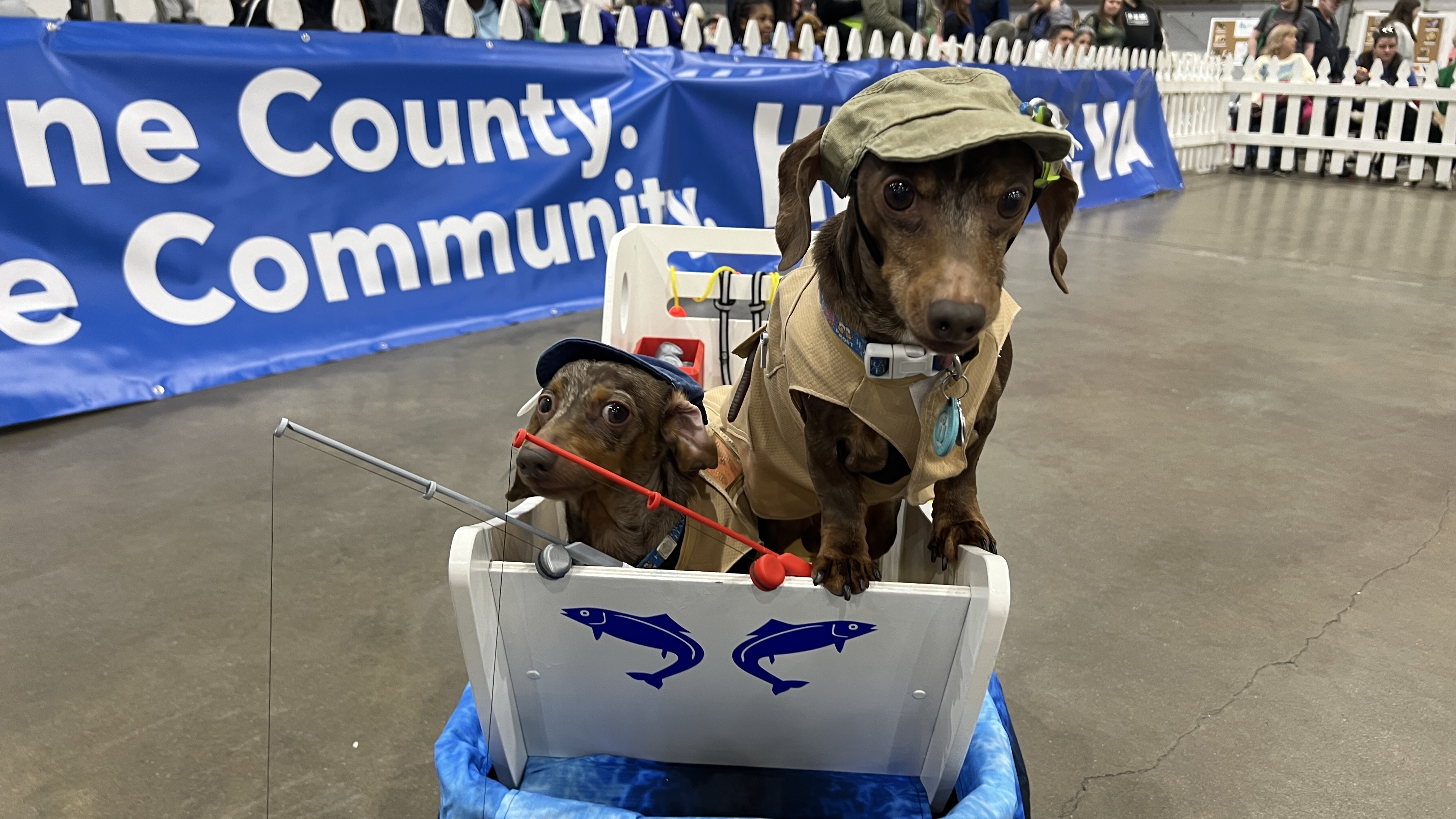 25th Annual Pet Expo