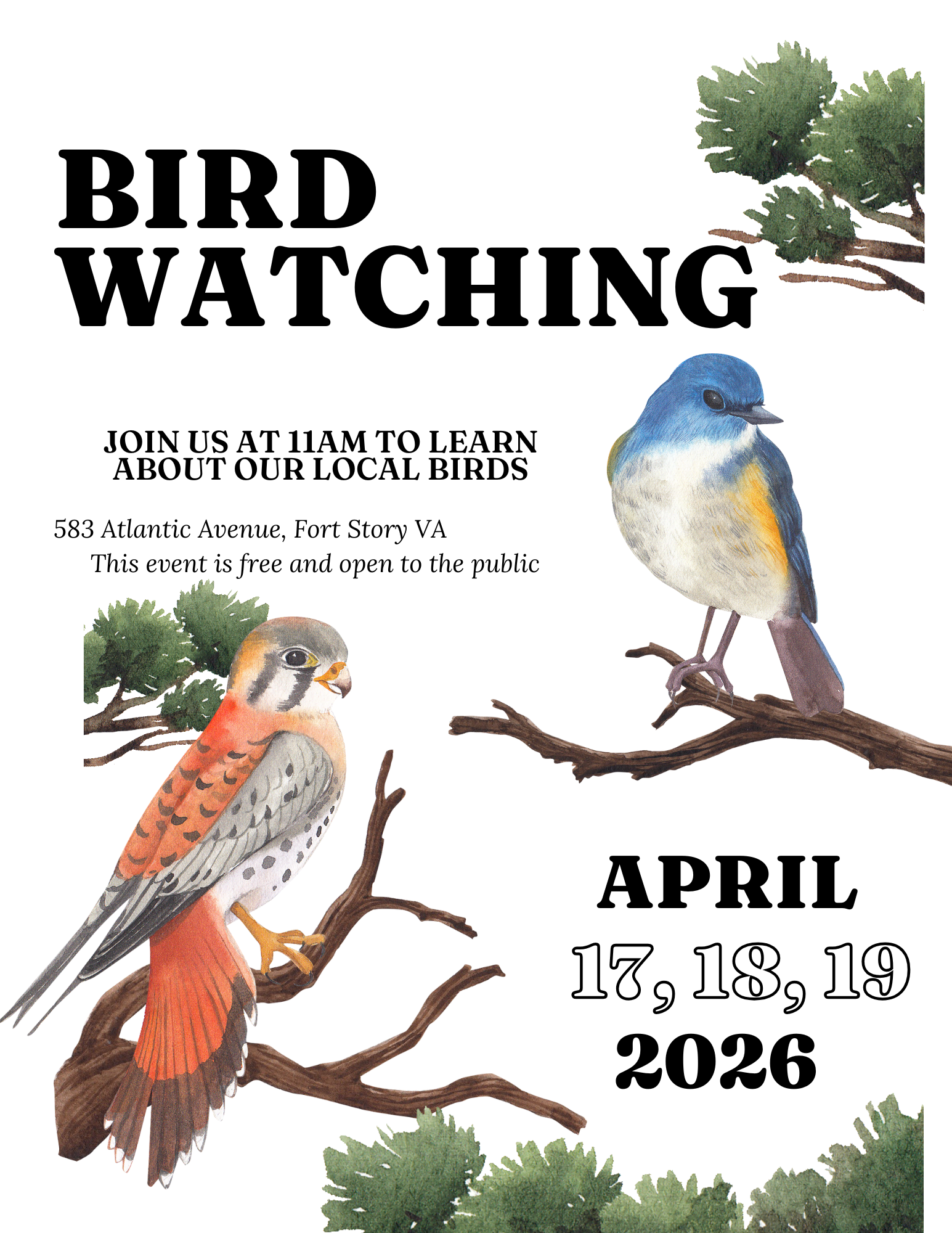 Bird Watching at Cape Henry Lighthouse