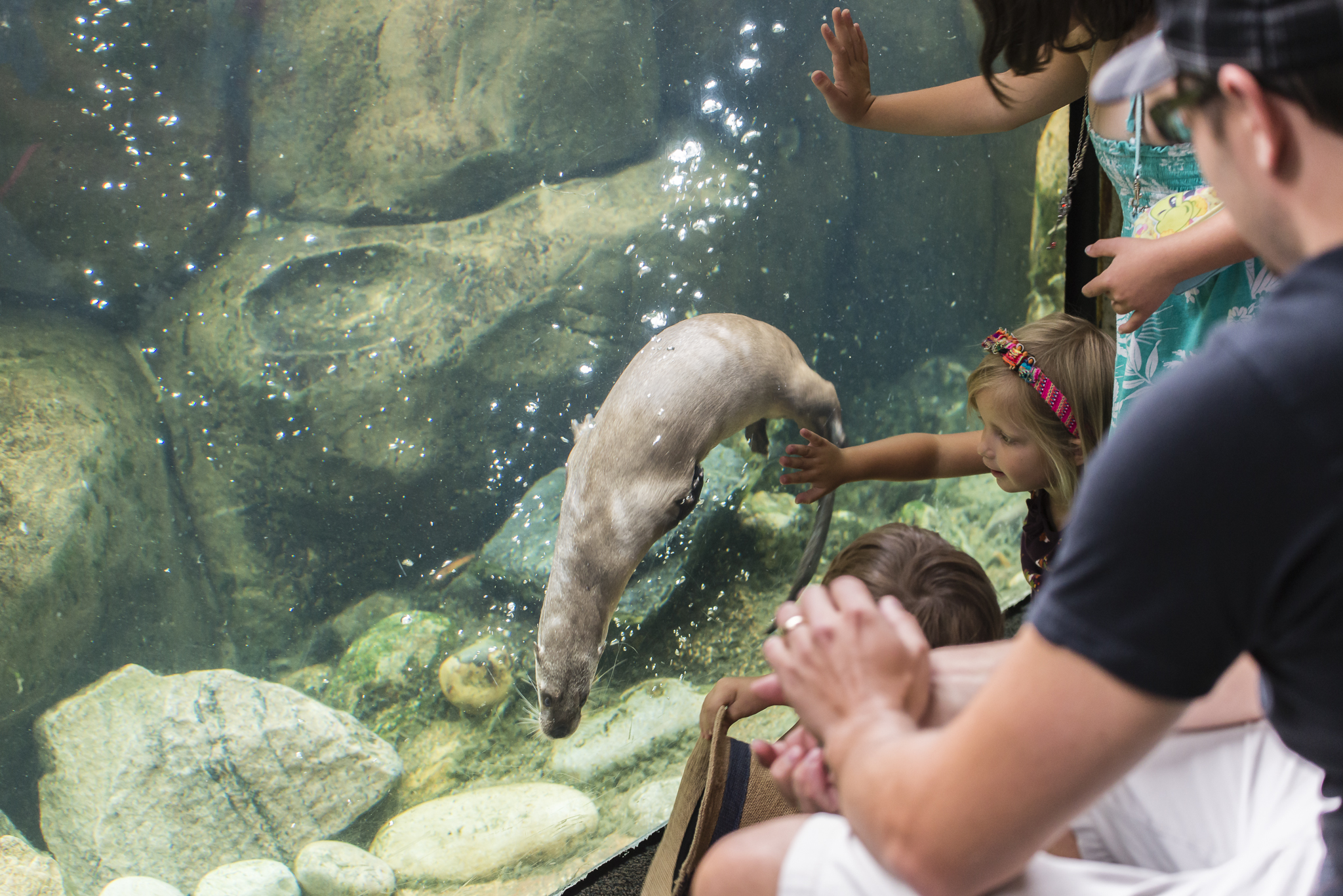 World Wildlife Day & RVA Environmental Film Festival