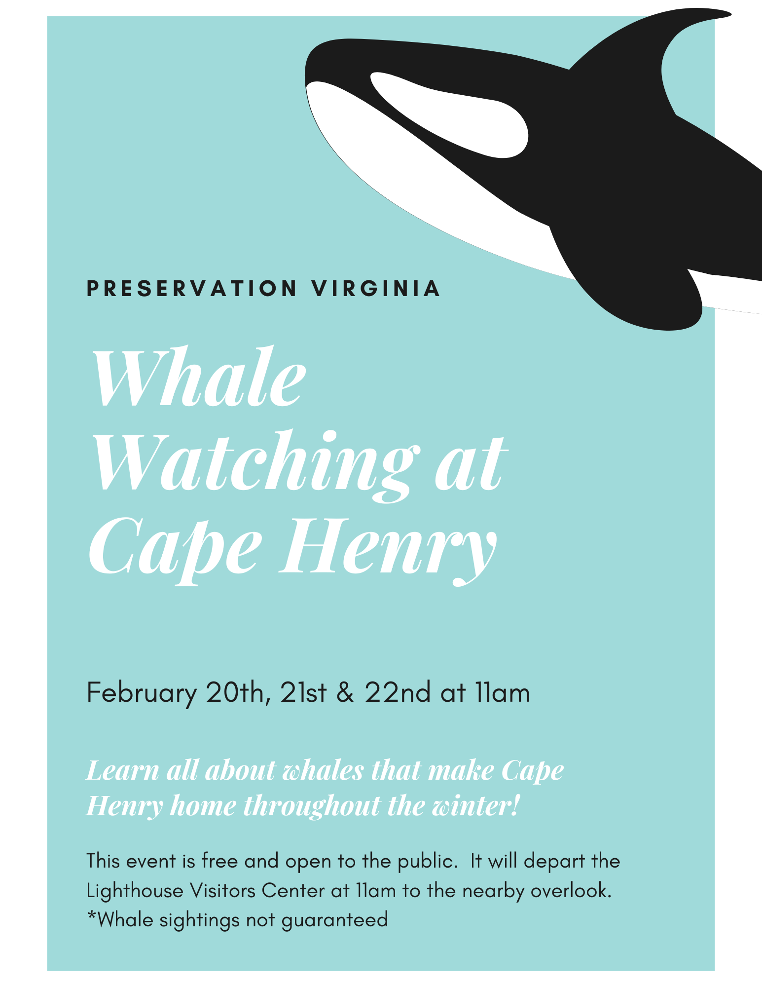 Whale Watching at Cape Henry Lighthouse