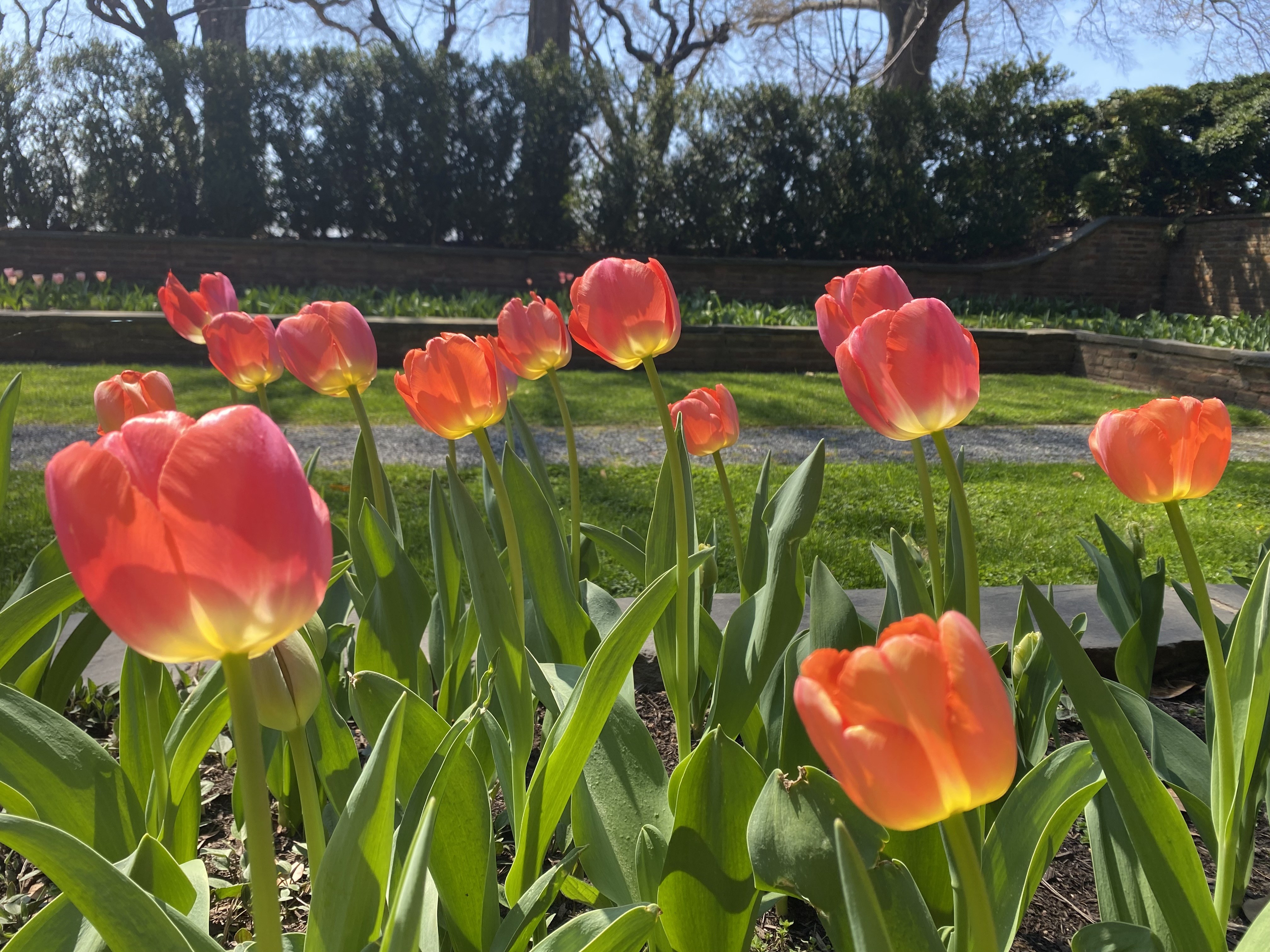 Kids’ Spring Workshop