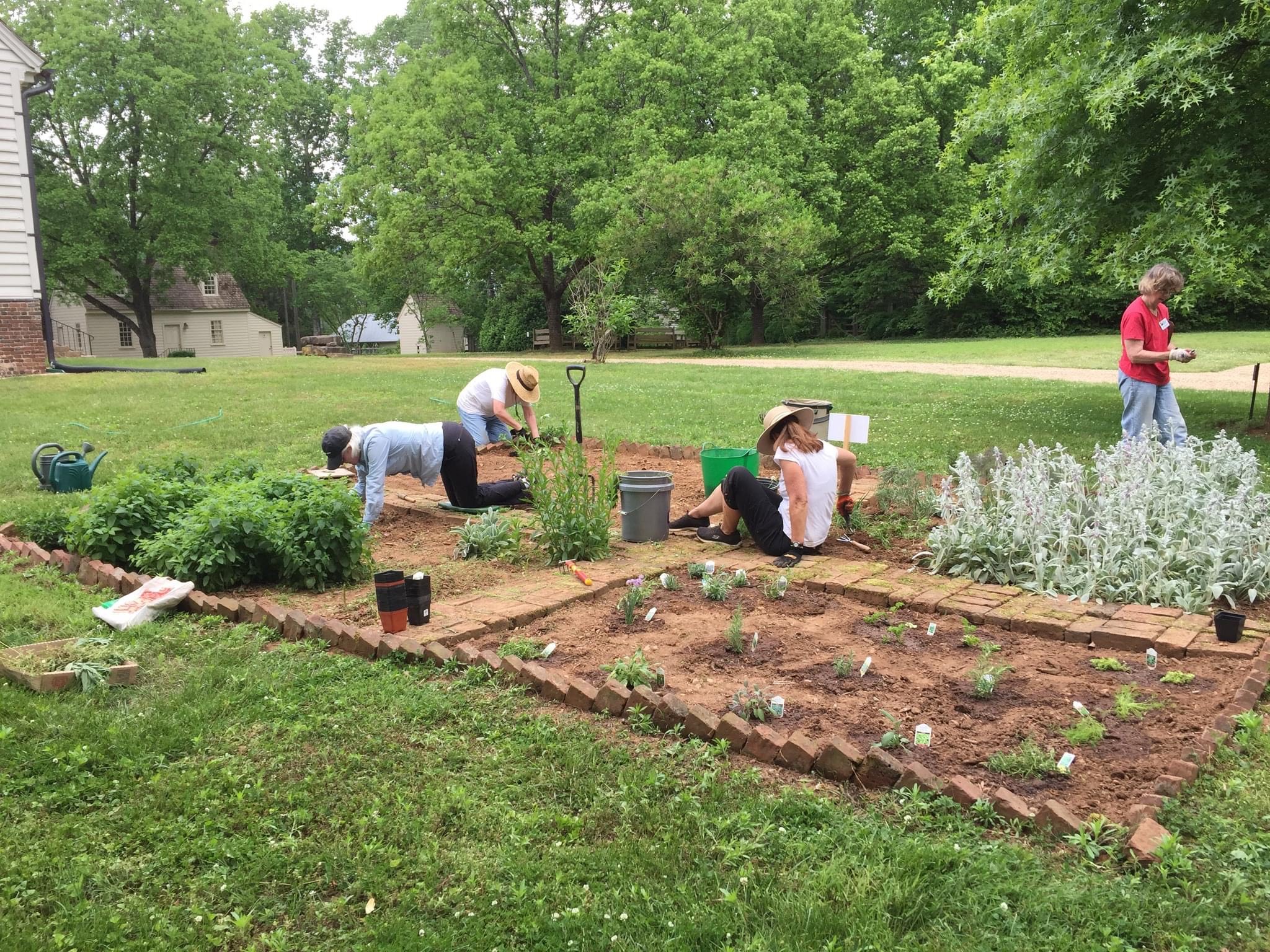 A Day in the Scotchtown Garden