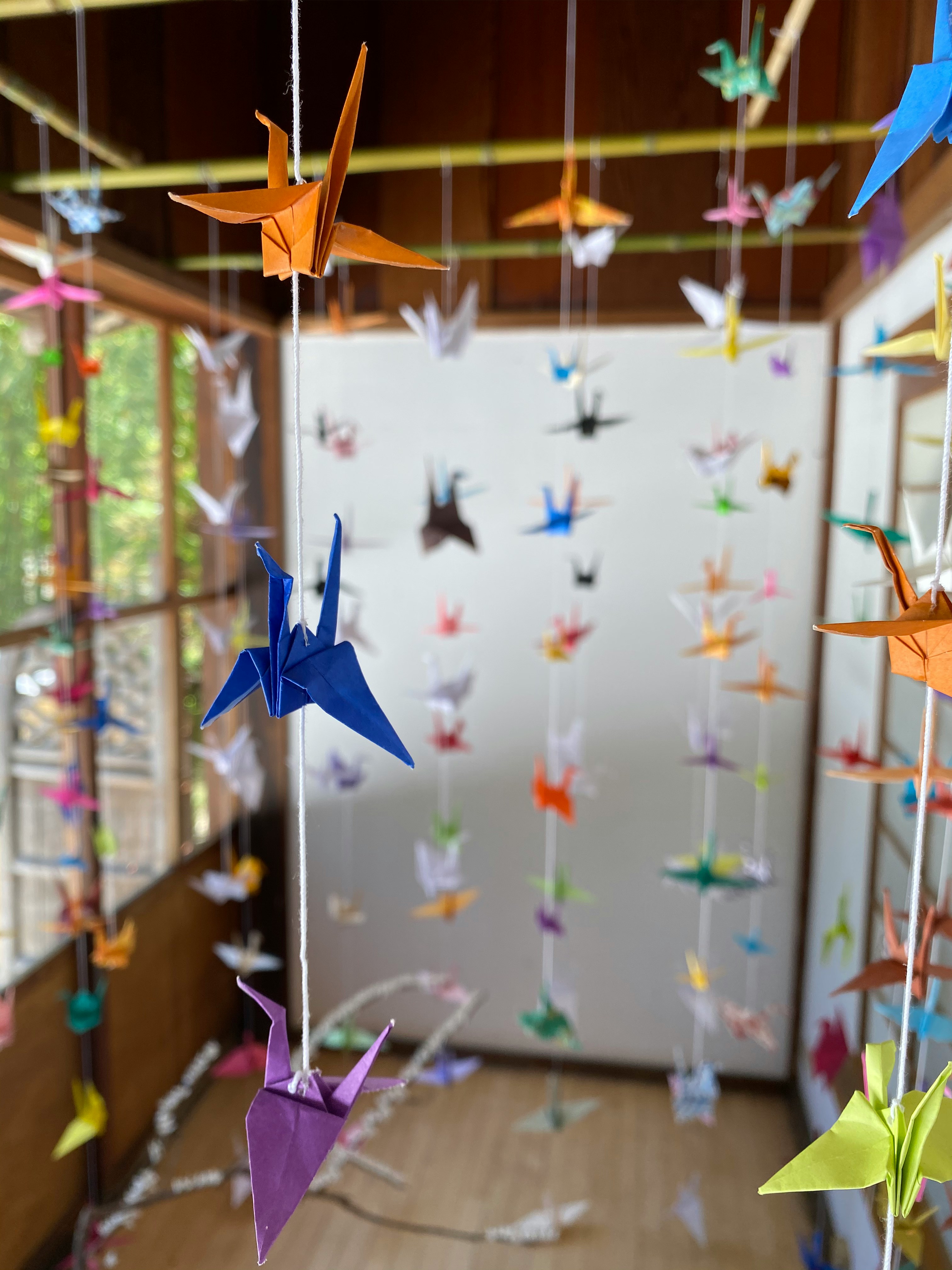 Orizuru: Origami Paper Cranes