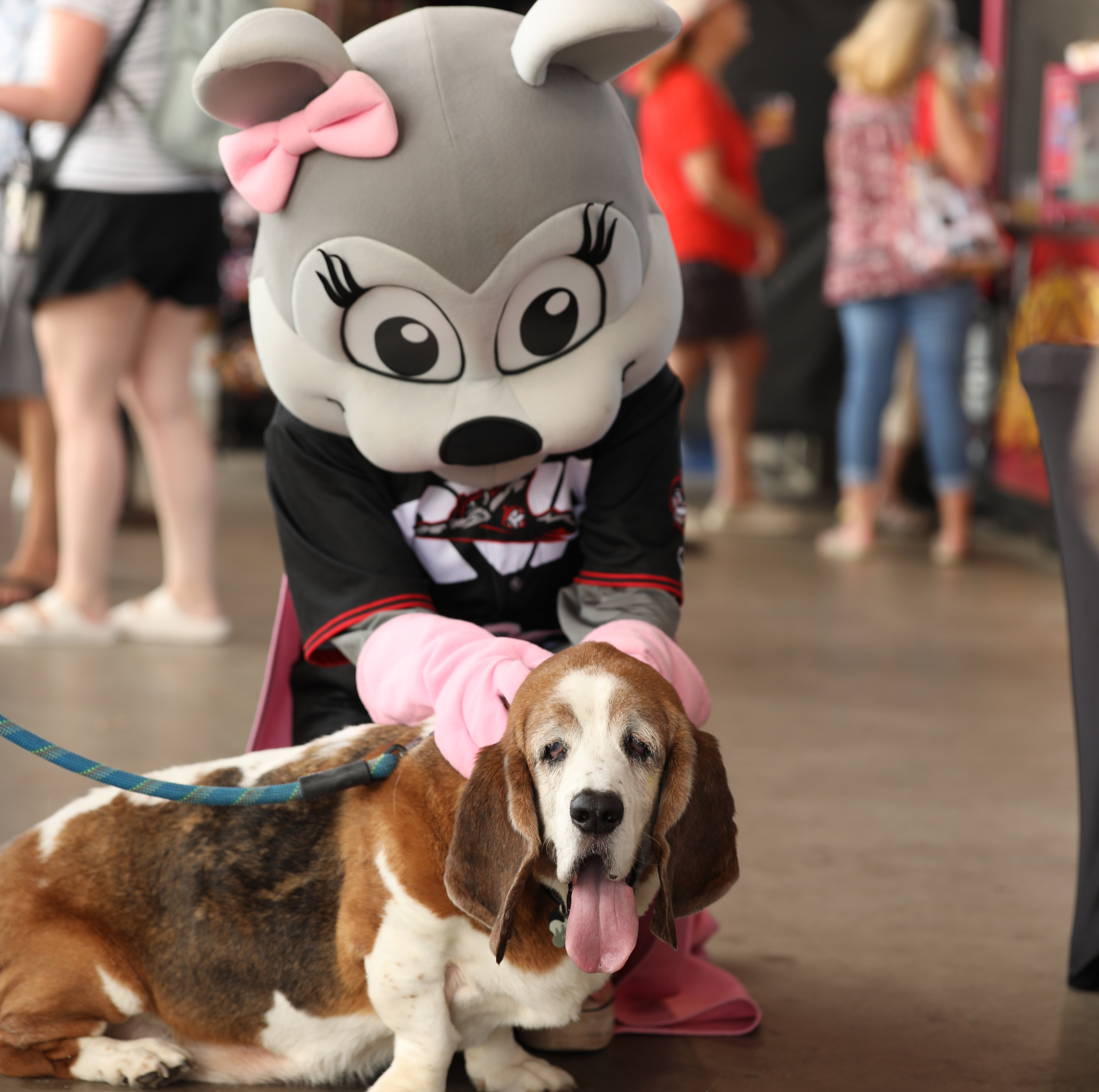 Richmond Flying Squirrels vs. Erie SeaWolves