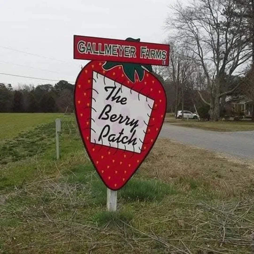 Gallmeyer Farms The Berry Patch opens May 2026