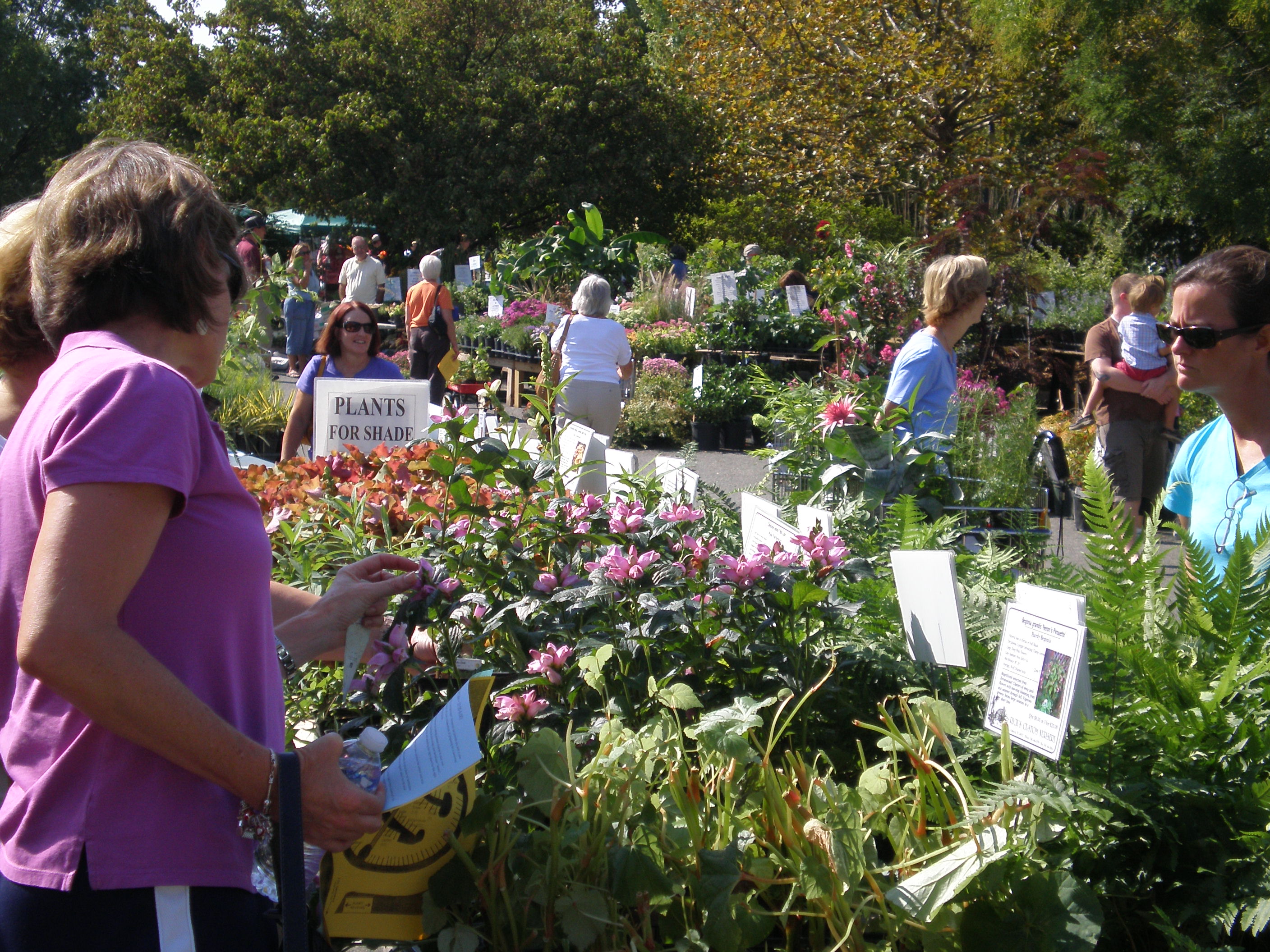Lewis Ginter Spring Plant Sale