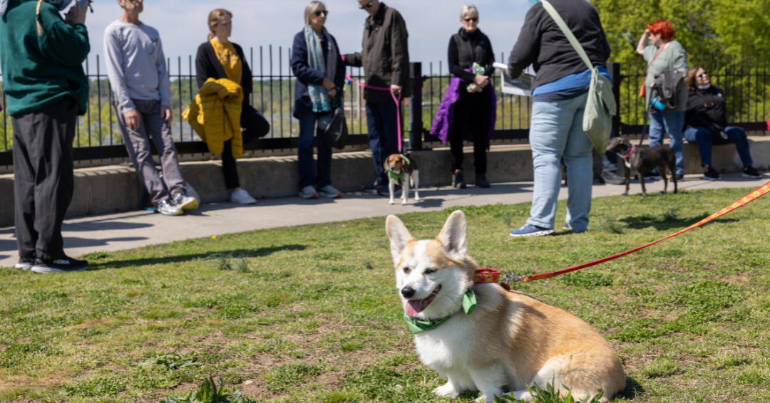 History Hounds Explore Ginter Park
