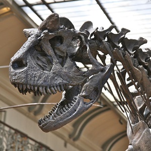 Prehistorically Speaking: Hunting Dinosaurs with the Science Museum of Virginia