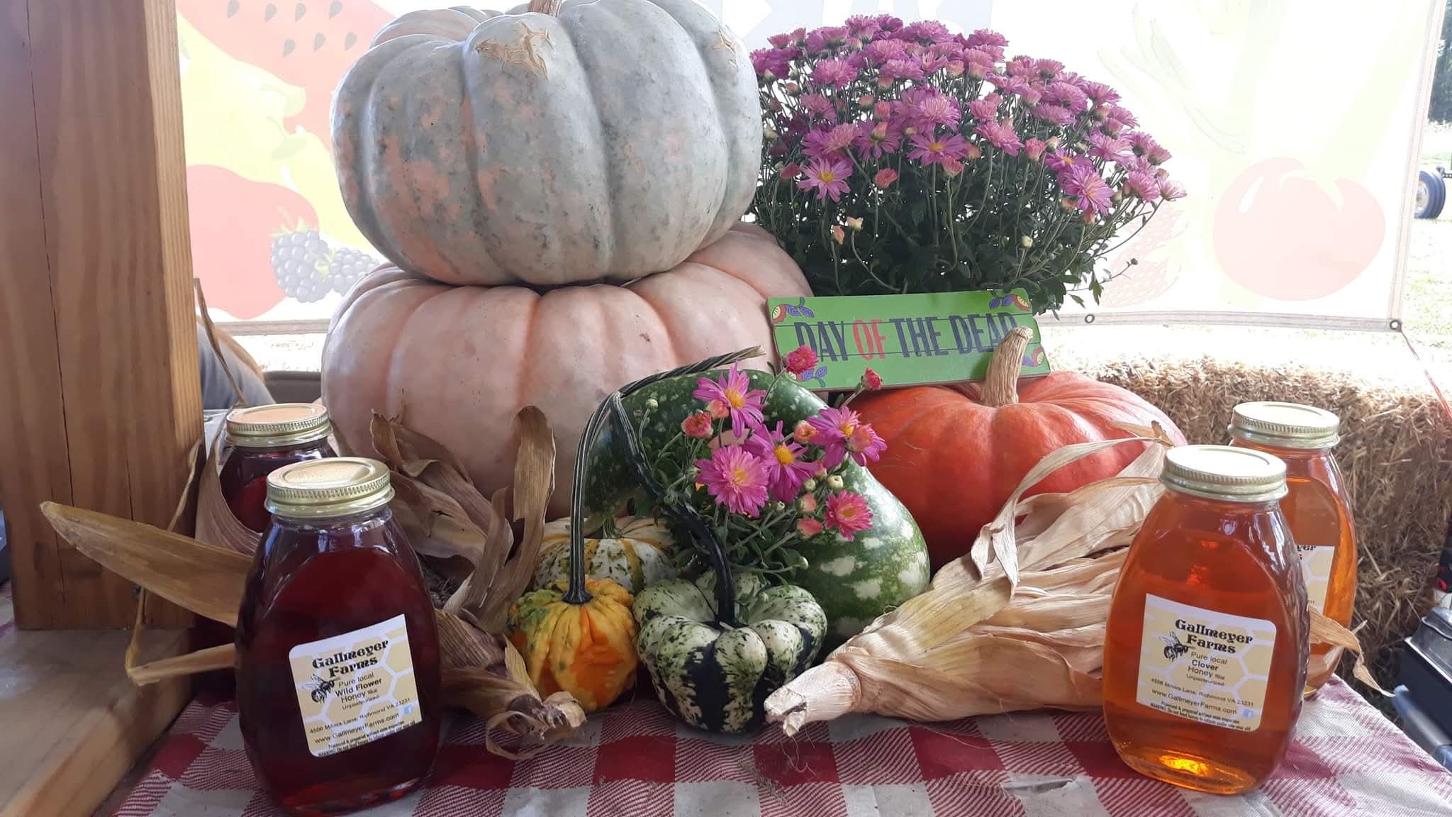 Gallmeyer Farms The Pumpkin Patch
