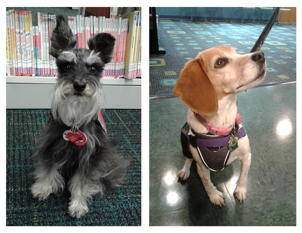 PUP READers