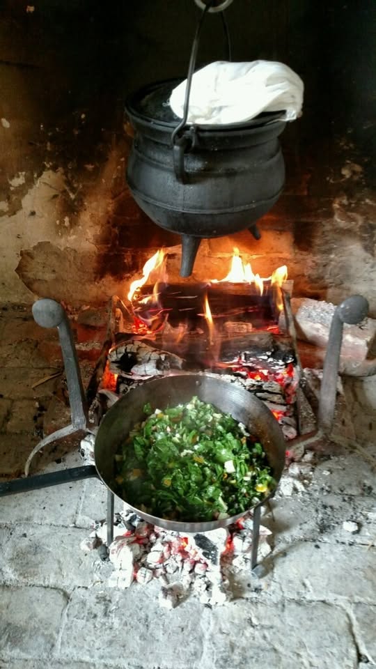 Summer Saturday Series: Vegetables & Herbs