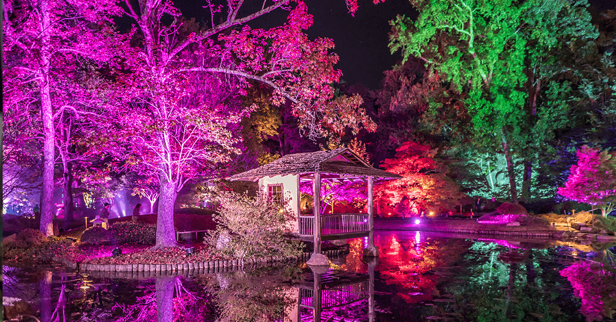 Garden Glow