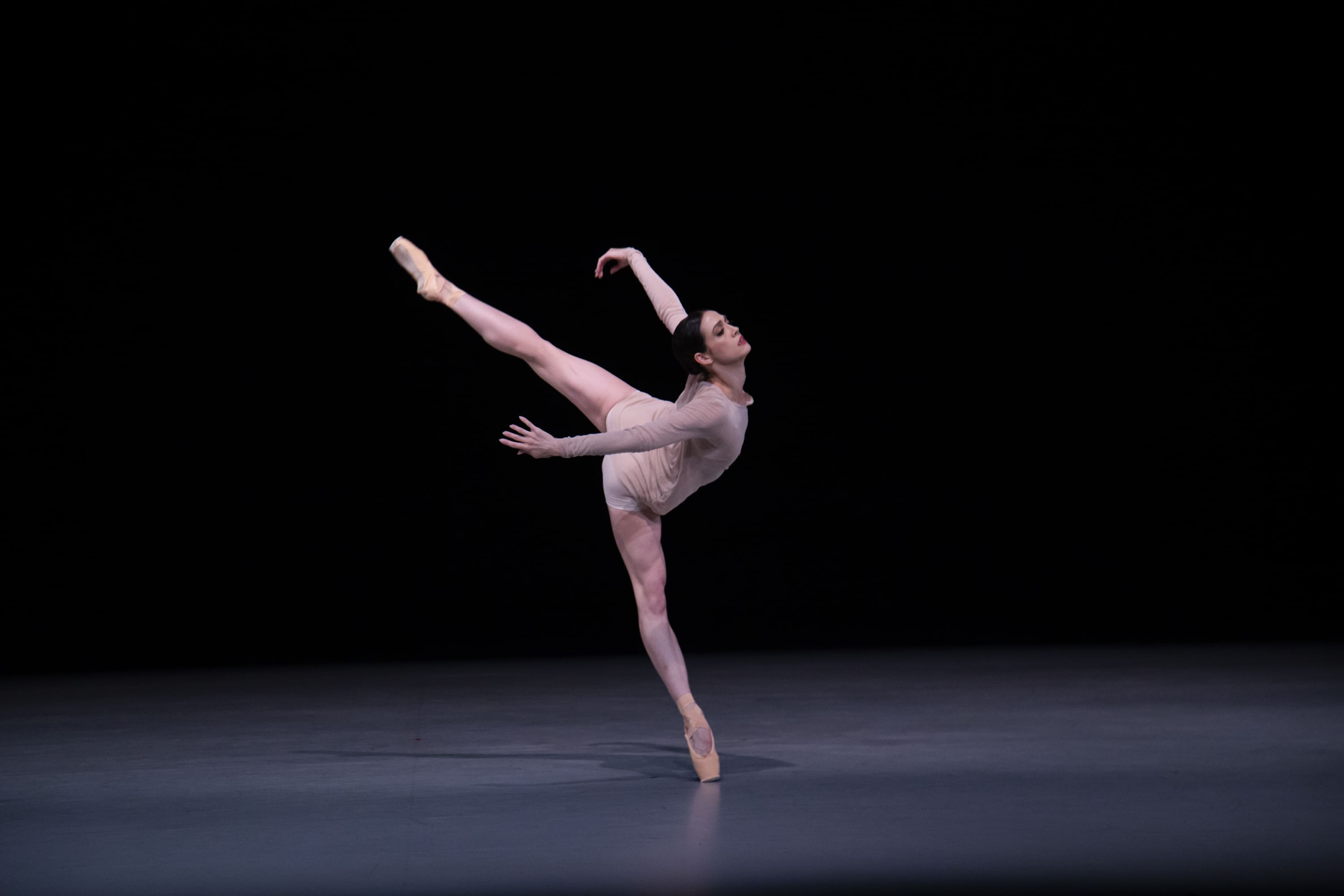 Richmond Ballet Presents Moving Art Two: Elevation