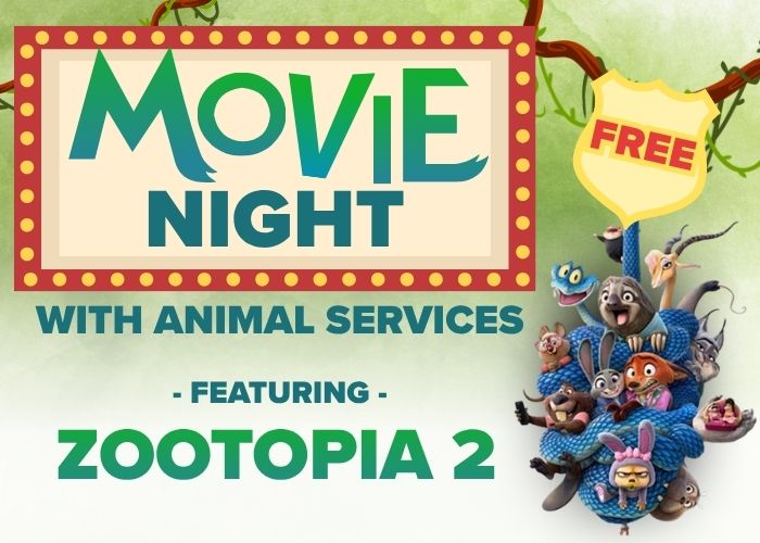 Movie Night with Chesterfield Animal Services