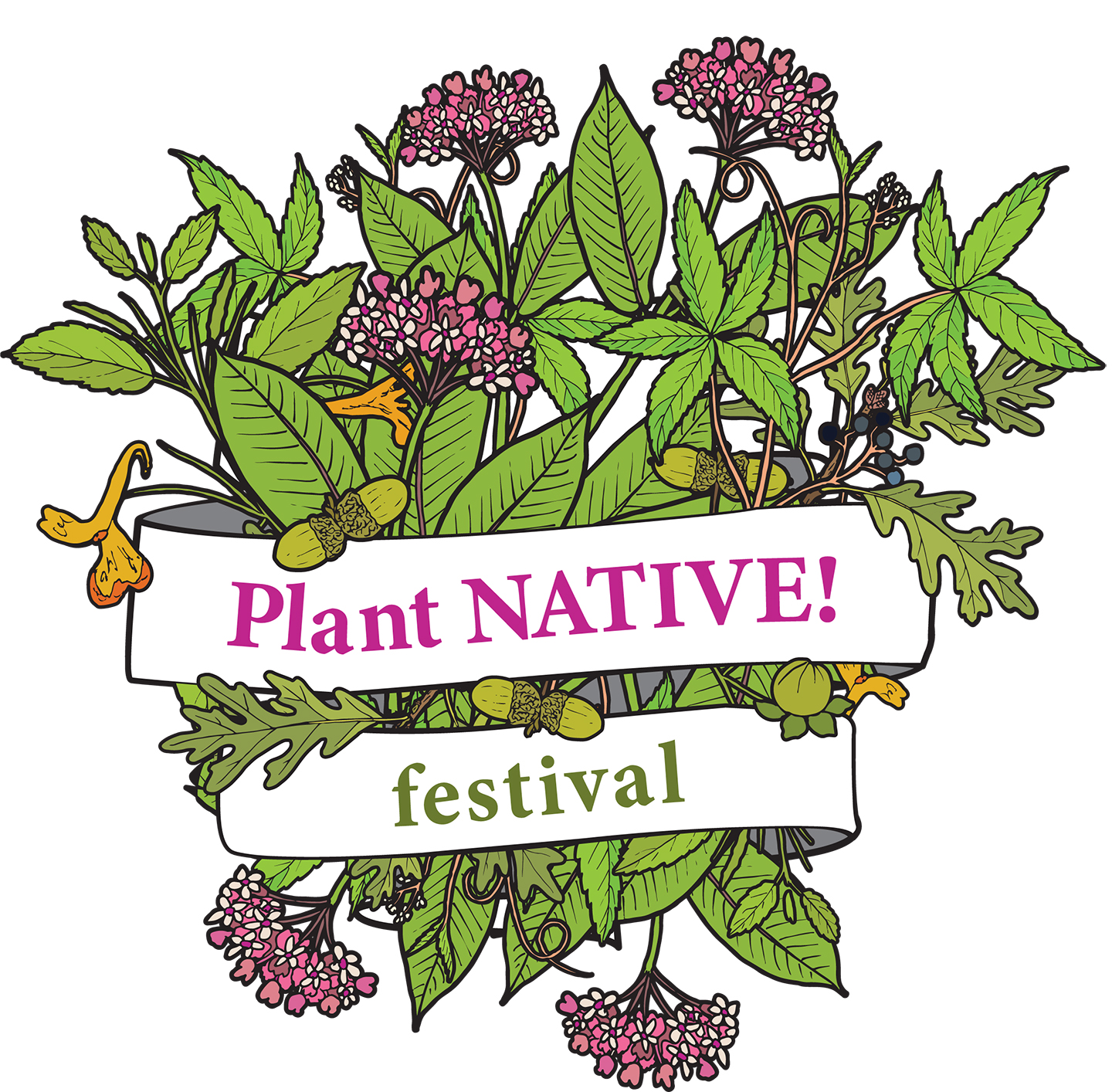 Plant Native Festival