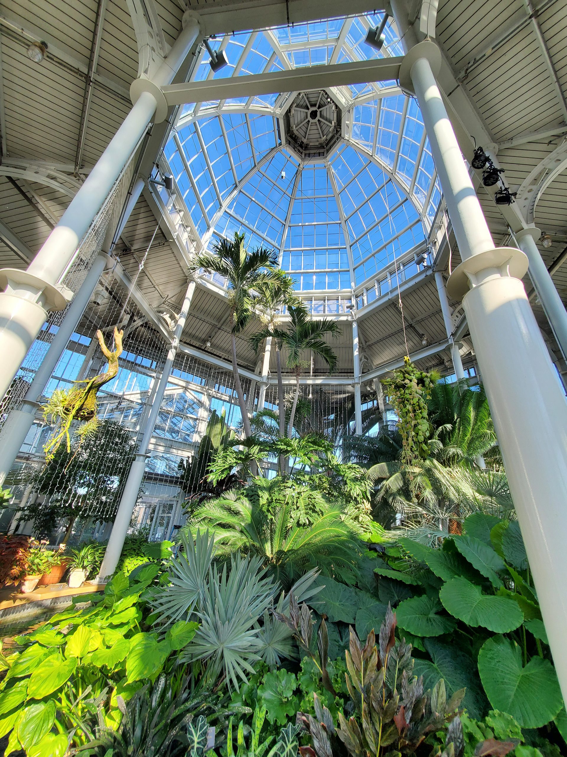 Worlds Under Glass: Desert to Rainforest Tour