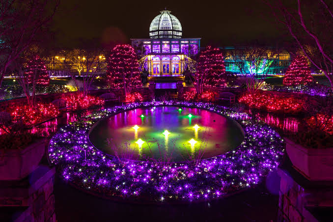 GardenFest of Lights: Behind-the-Scenes Tour