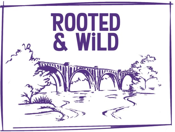 Rooted & Wild