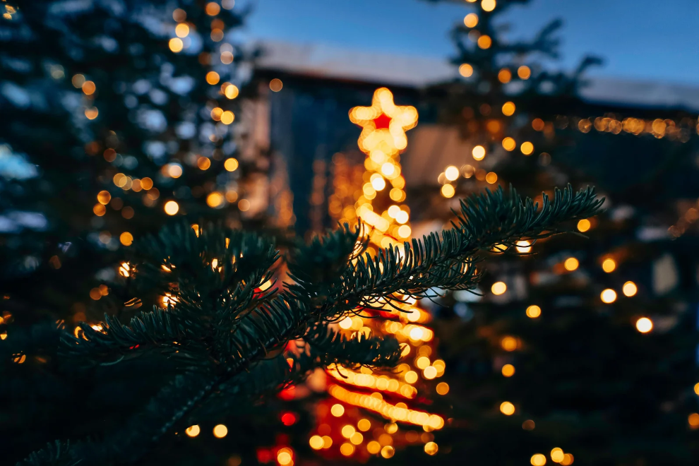 Christmas Fest