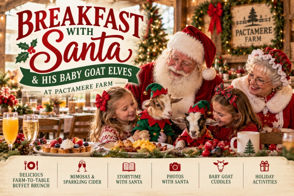 Breakfast with Santa & His Baby Goat Elves at Pactamere Farm