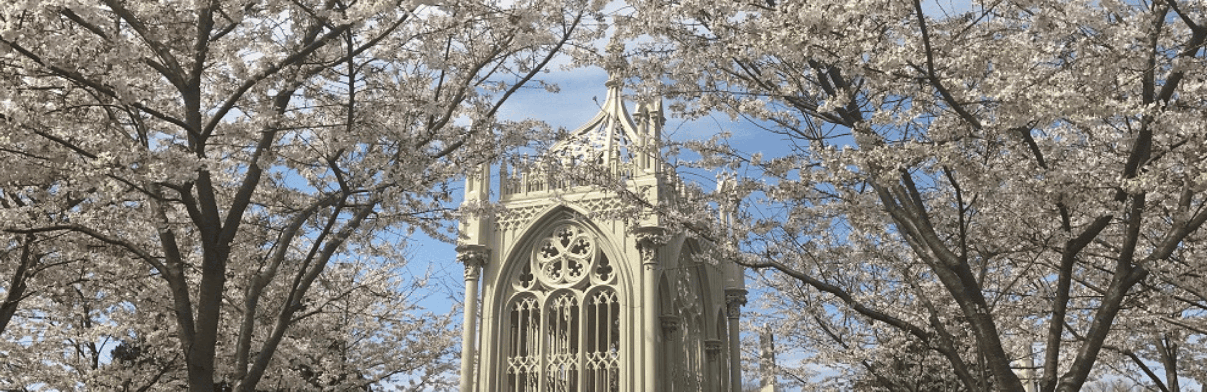 Highlights of Hollywood Cemetery