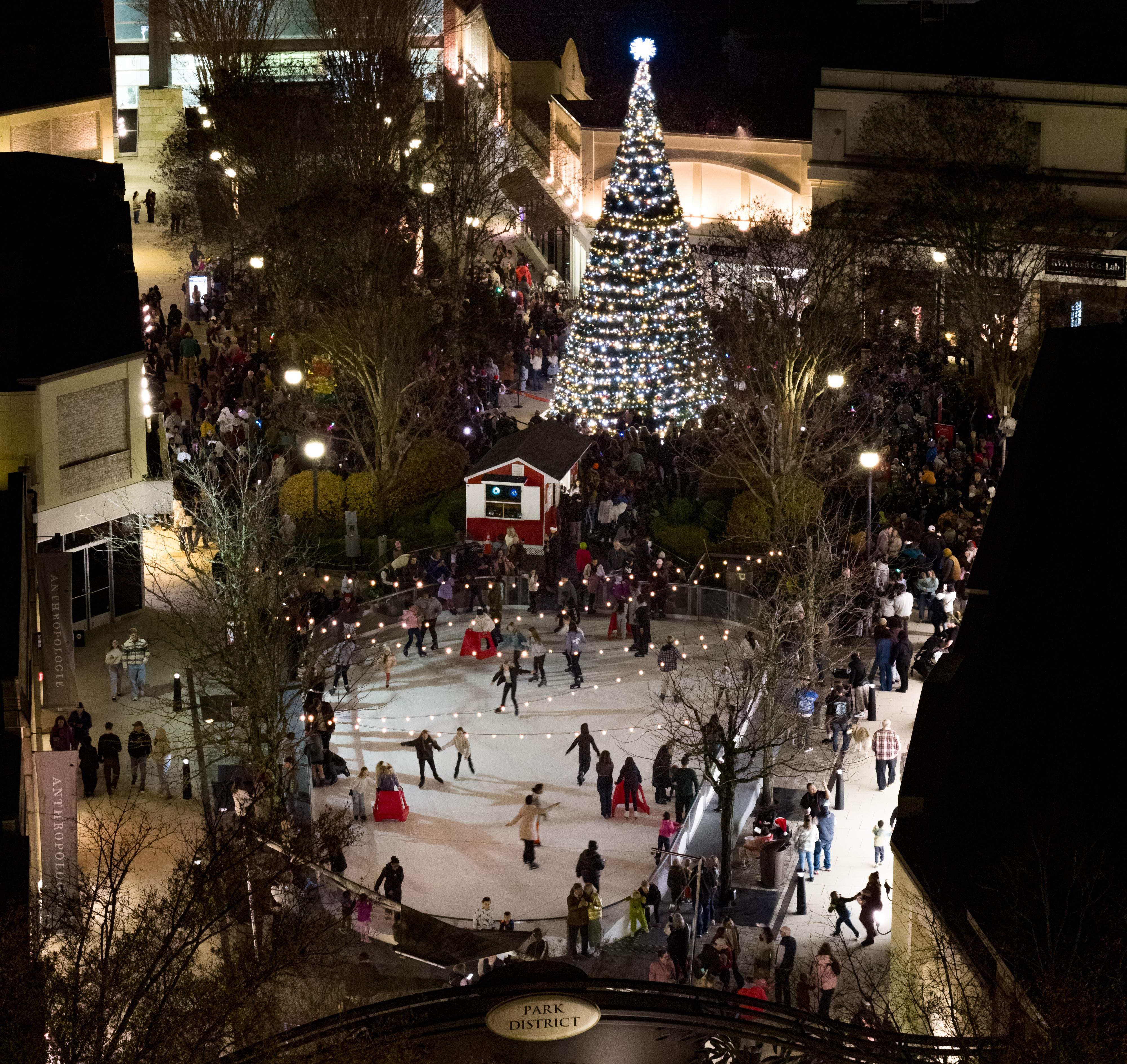 Annual Tree Lighting Sponsored by Outdoor Lighting Perspectives