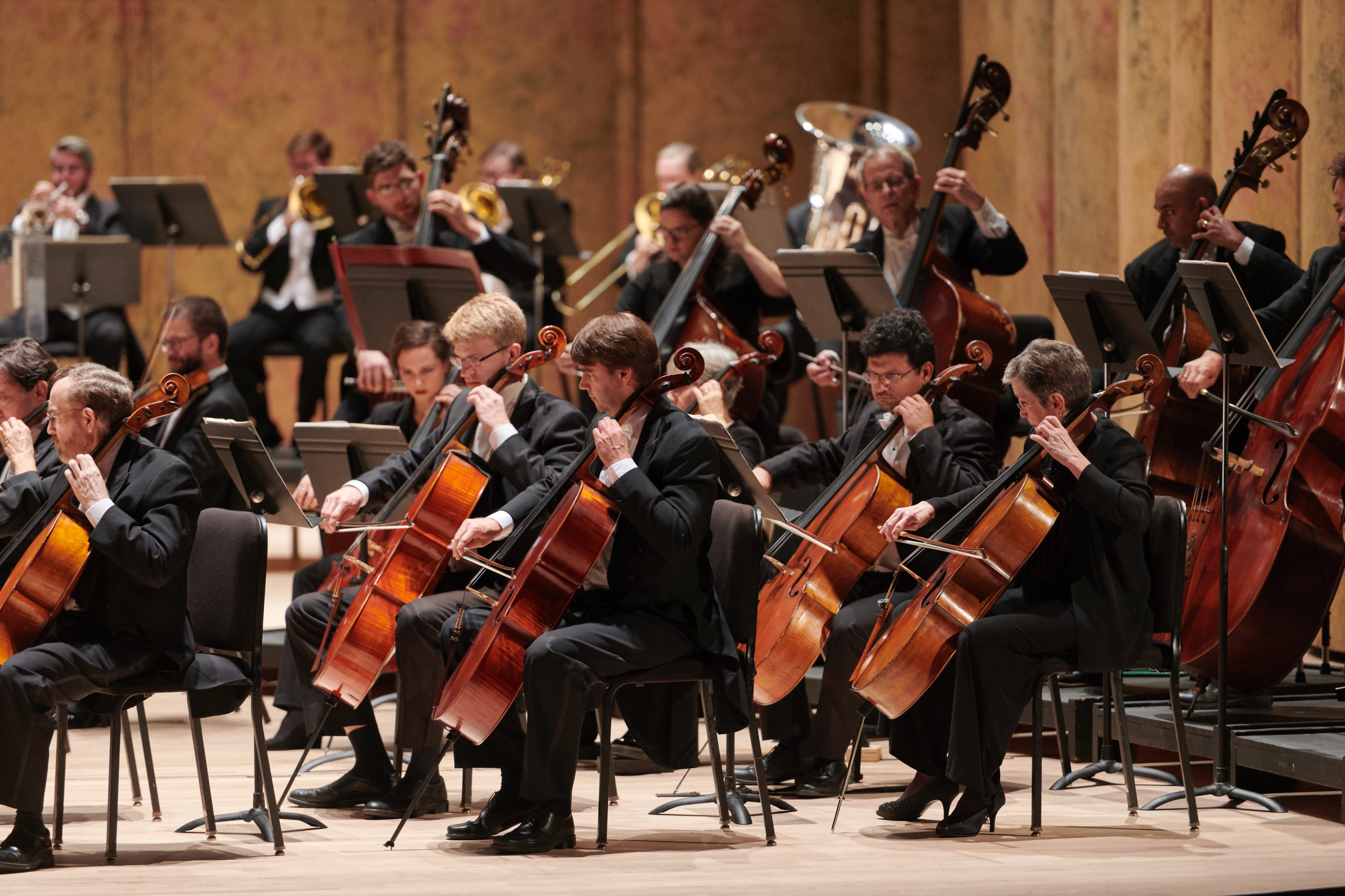 Richmond Symphony Announces 2021-2022 Season - Richmond Family Magazine